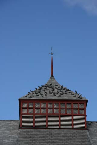 IMG_0283.jpg